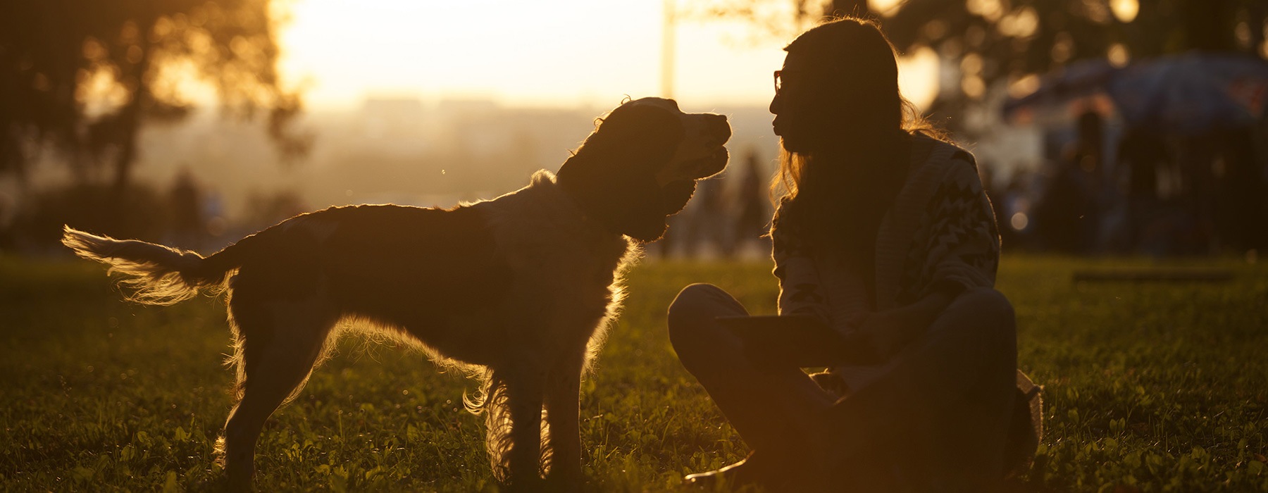 lifestyle image of a woman with a dog outdoors at sunset